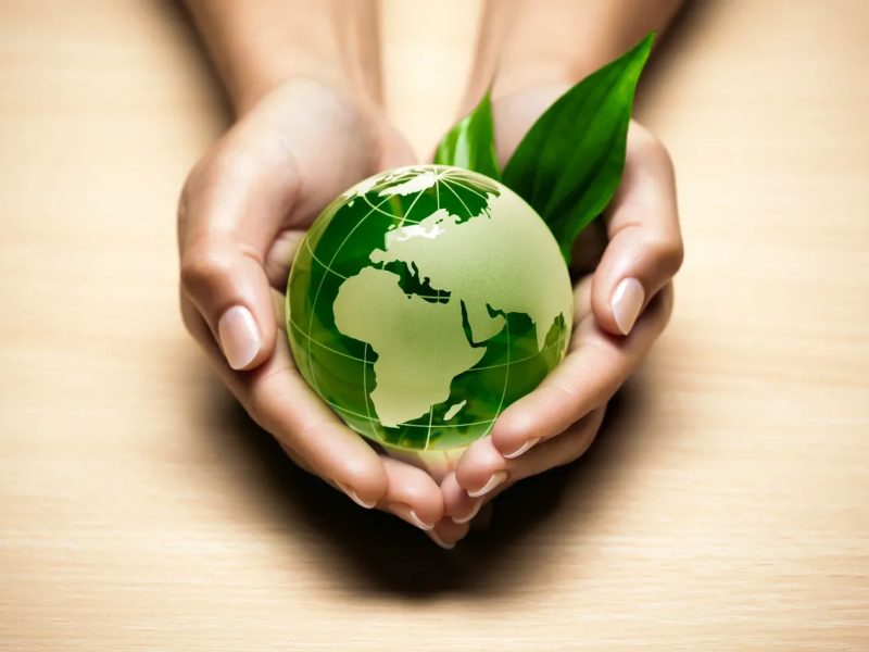 The Environmental Impact of Trenchless Technology
