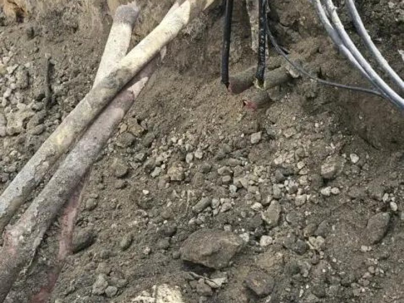 The Importance of Locating Utilities